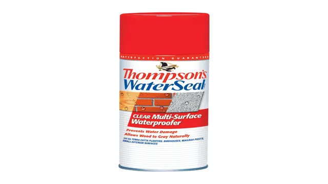 can you use thompson water seal in a paint sprayer