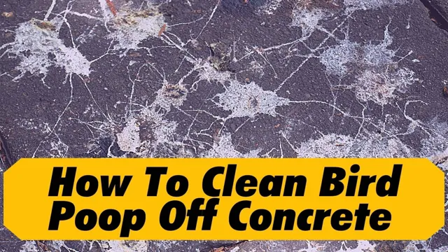 how to clean poop off of concrete