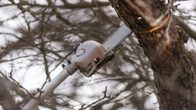 how to cut branches with a pole saw