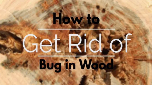 how to kill bugs in wood