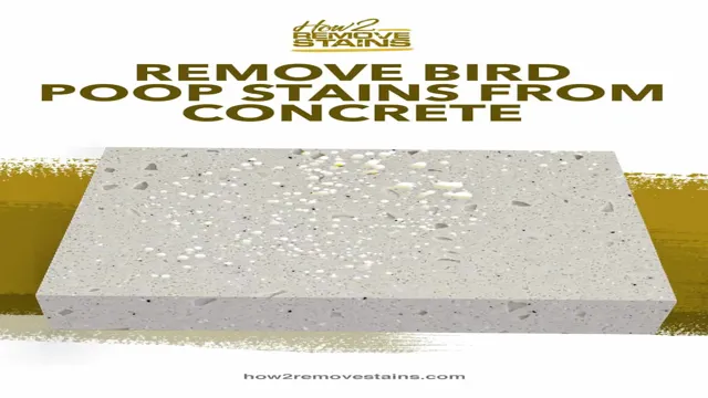 how to remove poop stains from concrete