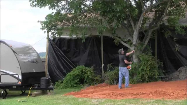 how to trim a tree with a pole saw